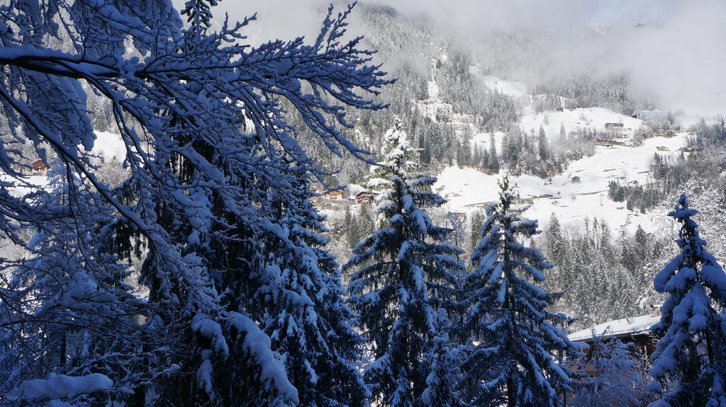 Appartements Alpenblick フィンケンベルク エクステリア 写真