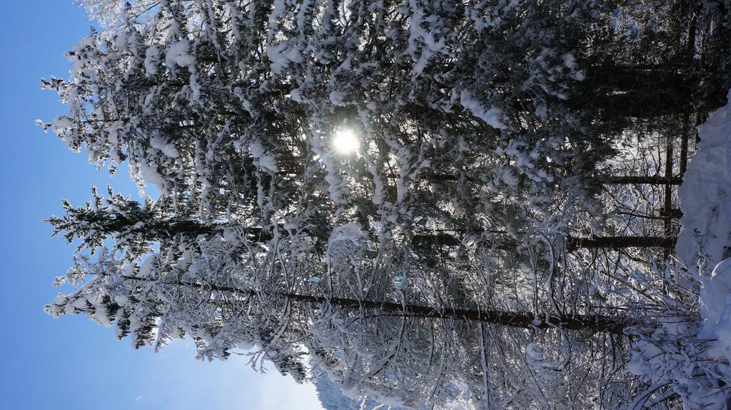 Appartements Alpenblick フィンケンベルク エクステリア 写真