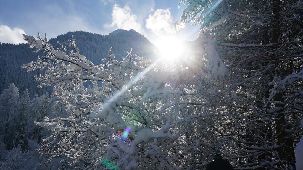 Appartements Alpenblick フィンケンベルク エクステリア 写真