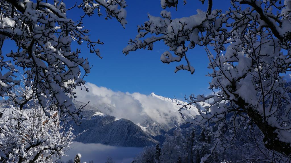 Appartements Alpenblick フィンケンベルク エクステリア 写真