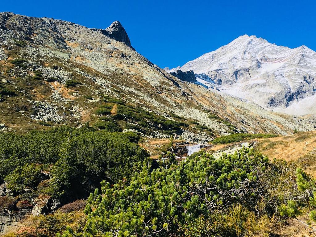 Appartements Alpenblick フィンケンベルク エクステリア 写真