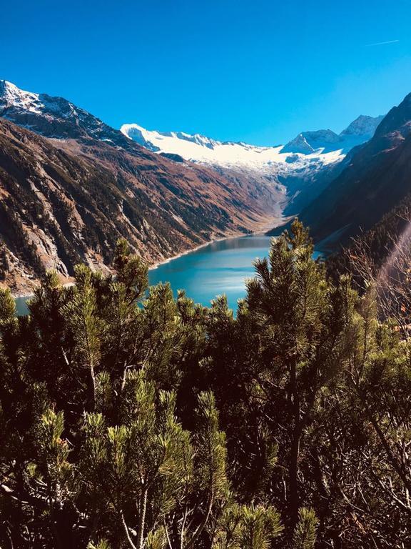 Appartements Alpenblick フィンケンベルク エクステリア 写真