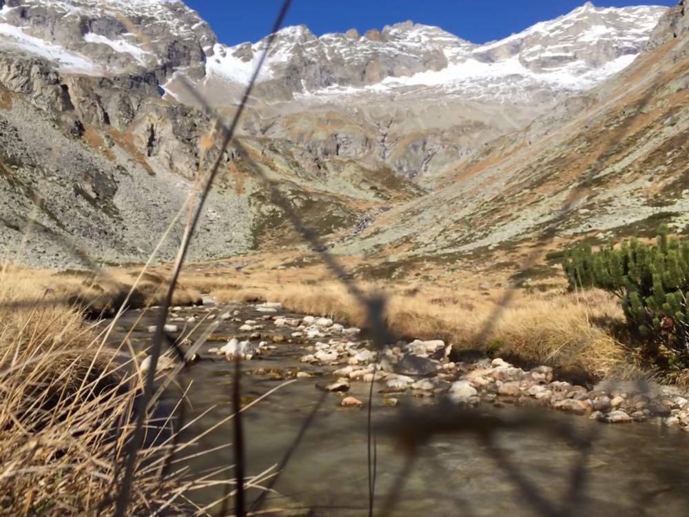 Appartements Alpenblick フィンケンベルク エクステリア 写真